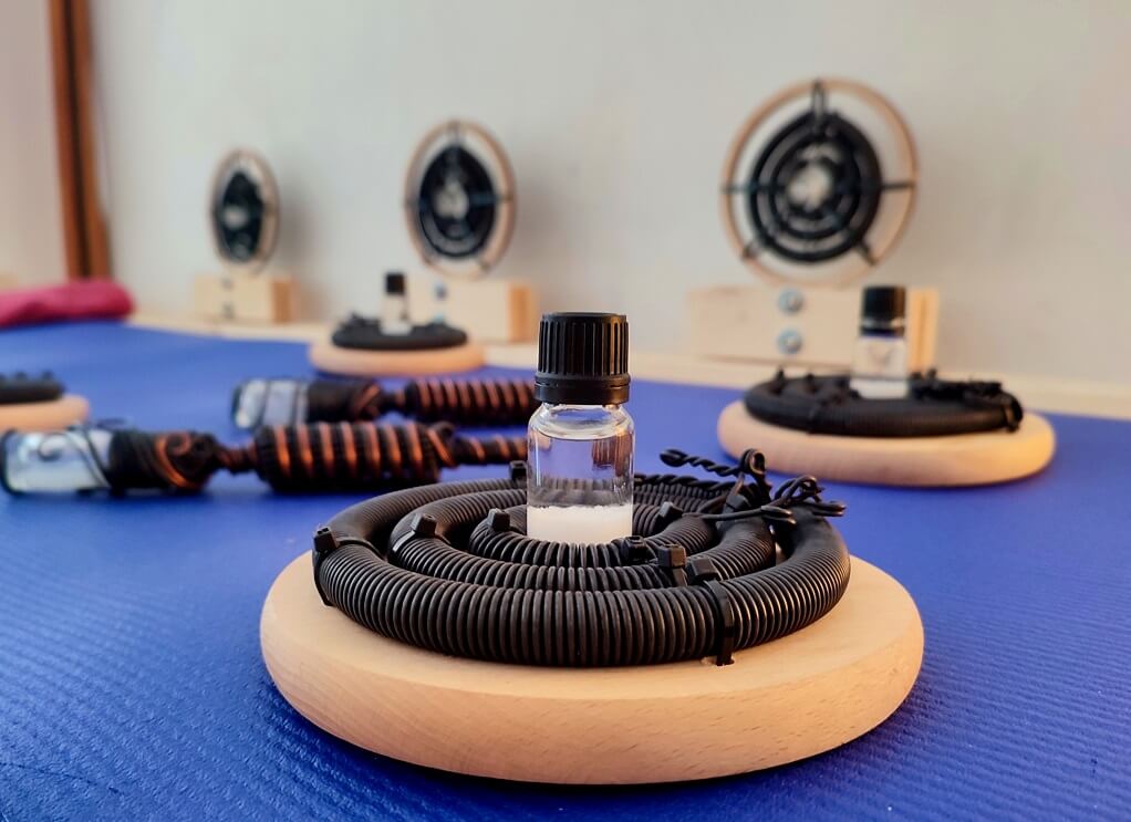 The Bioenergetic Balancing System - Image 5