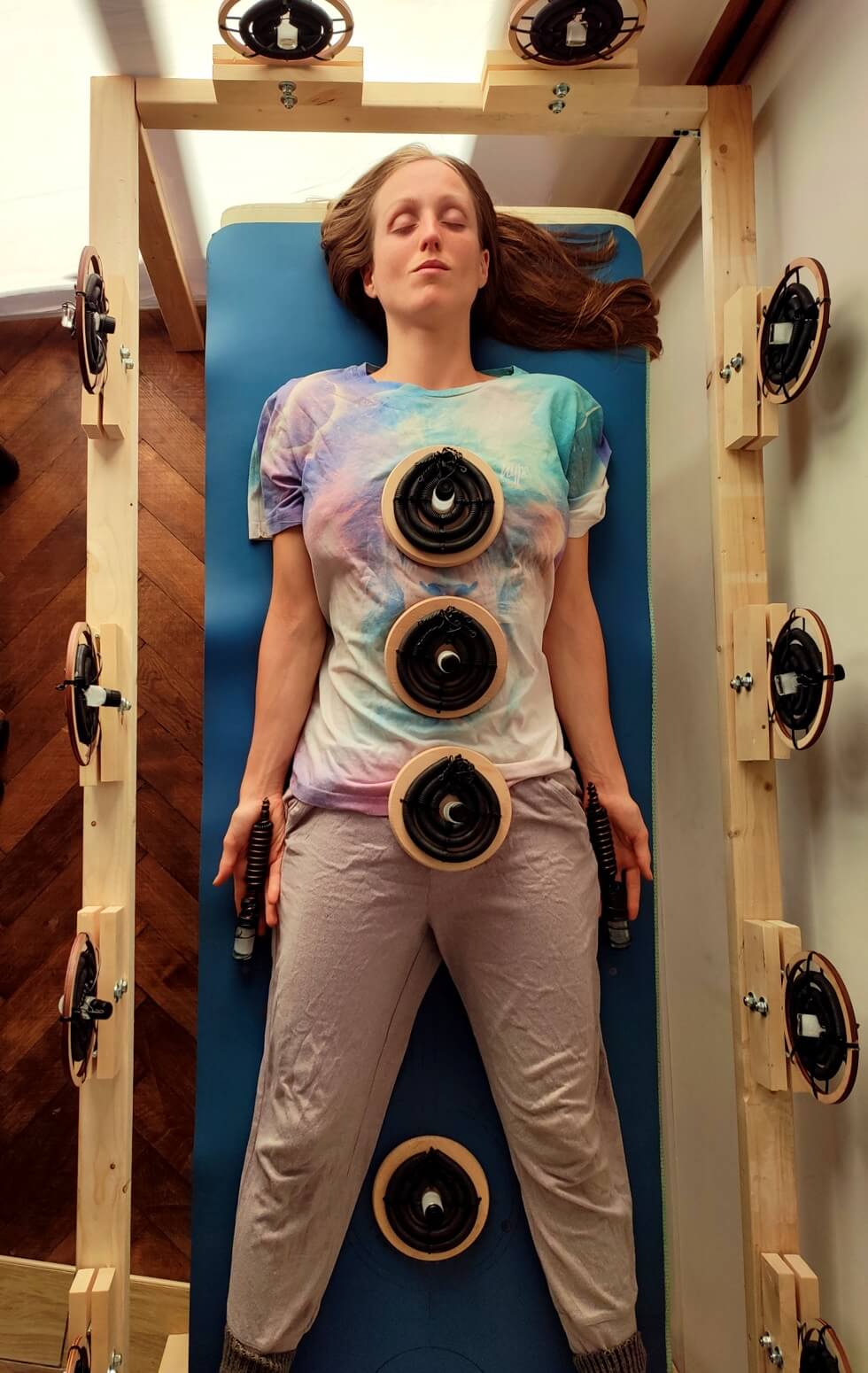 The Bioenergetic Balancing System