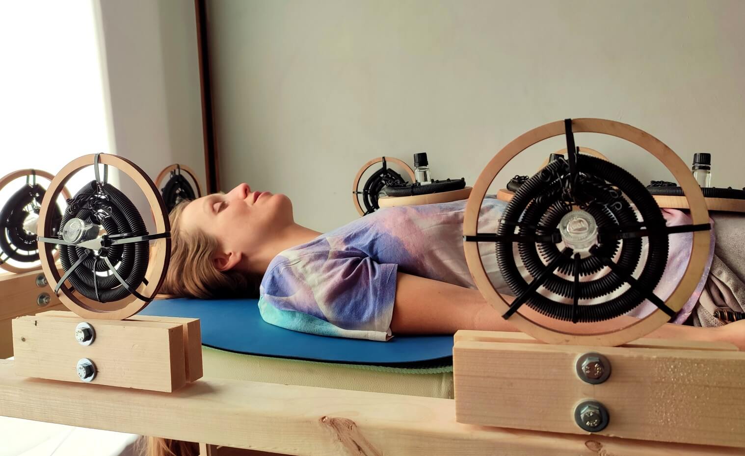 The Bioenergetic Balancing System - Image 4