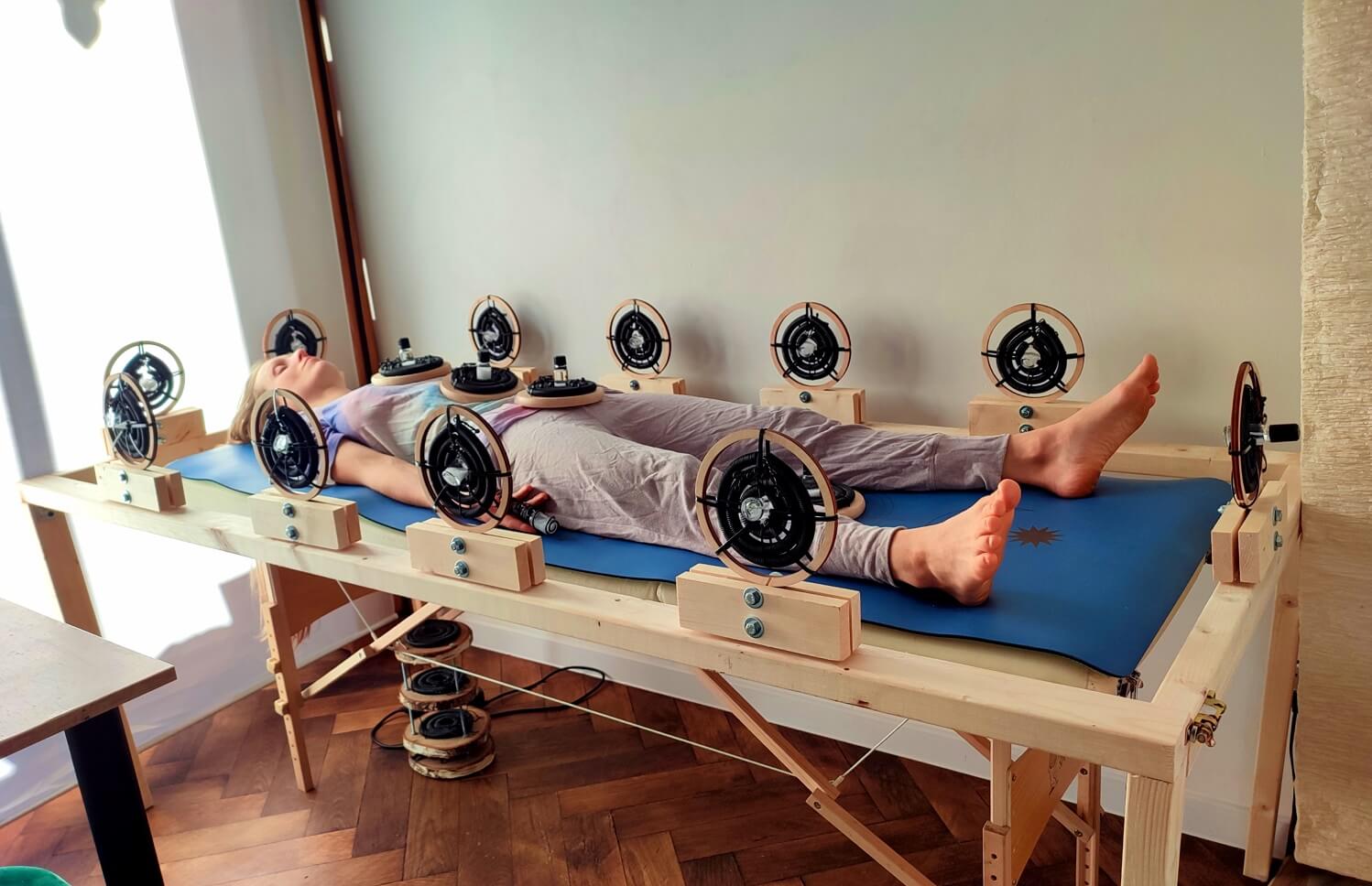 The Bioenergetic Balancing System - Image 2